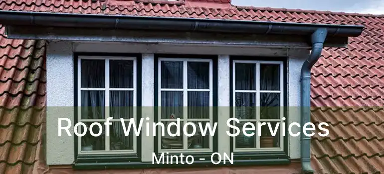  Roof Window Services Minto - ON