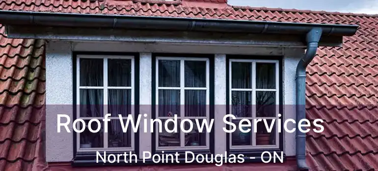  Roof Window Services North Point Douglas - ON