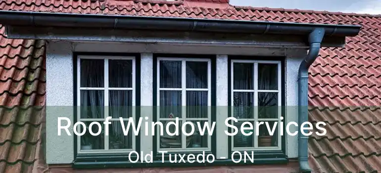  Roof Window Services Old Tuxedo - ON
