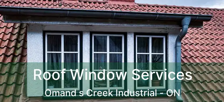  Roof Window Services Omand s Creek Industrial - ON