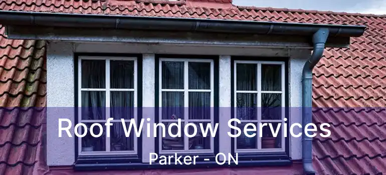  Roof Window Services Parker - ON