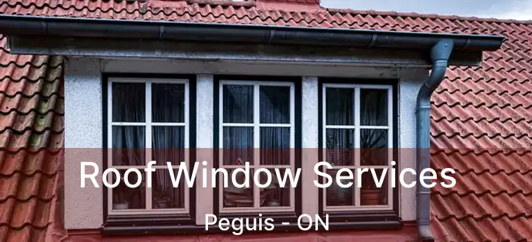  Roof Window Services Peguis - ON