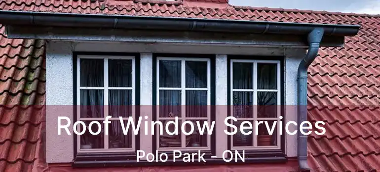  Roof Window Services Polo Park - ON