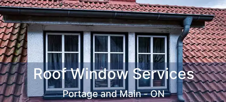  Roof Window Services Portage and Main - ON