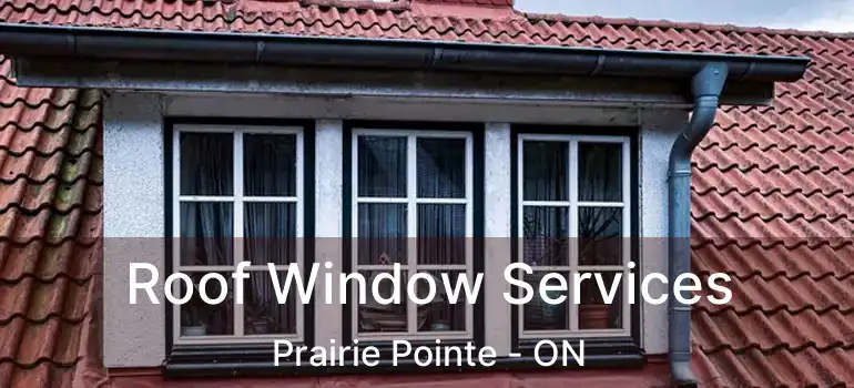  Roof Window Services Prairie Pointe - ON