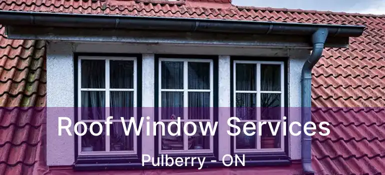  Roof Window Services Pulberry - ON