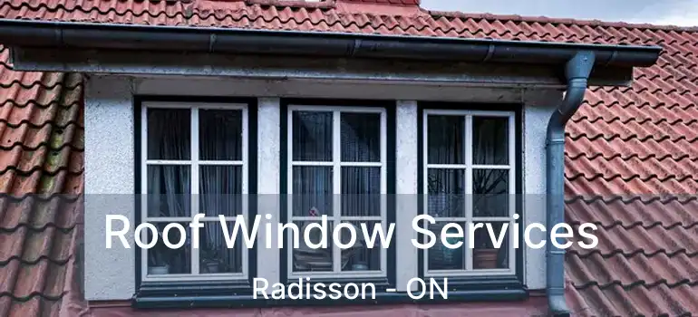  Roof Window Services Radisson - ON