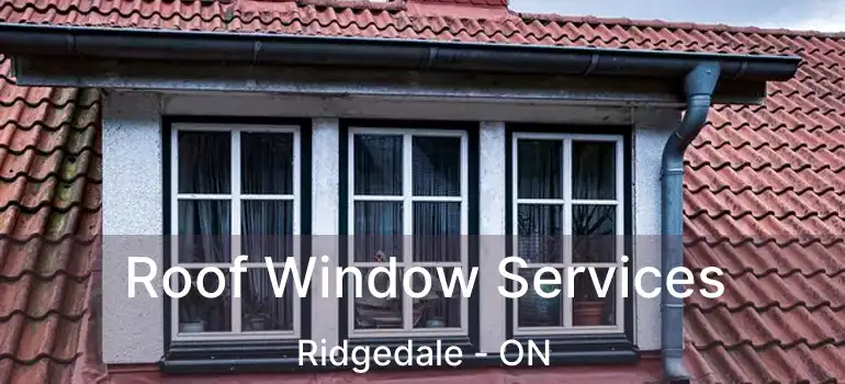  Roof Window Services Ridgedale - ON