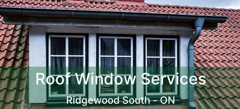  Roof Window Services Ridgewood South - ON