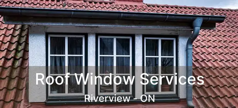  Roof Window Services Riverview - ON