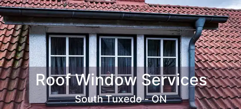  Roof Window Services South Tuxedo - ON