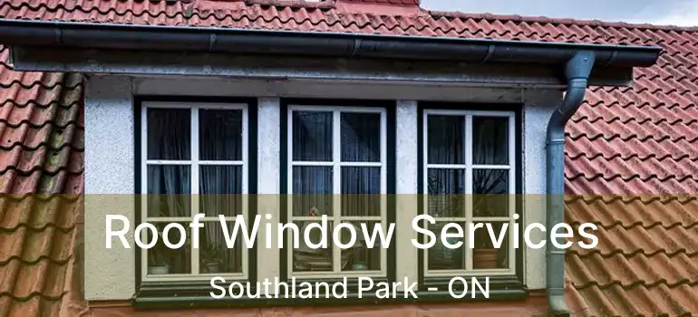  Roof Window Services Southland Park - ON