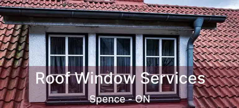  Roof Window Services Spence - ON