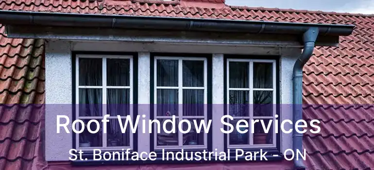  Roof Window Services St. Boniface Industrial Park - ON