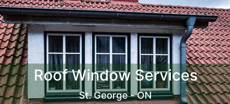  Roof Window Services St. George - ON