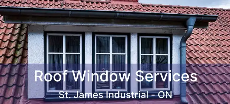  Roof Window Services St. James Industrial - ON