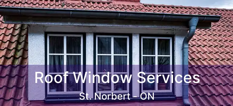  Roof Window Services St. Norbert - ON