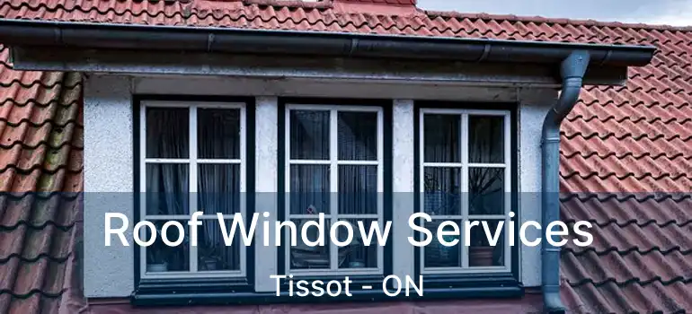  Roof Window Services Tissot - ON