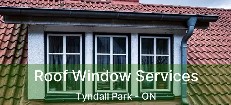  Roof Window Services Tyndall Park - ON