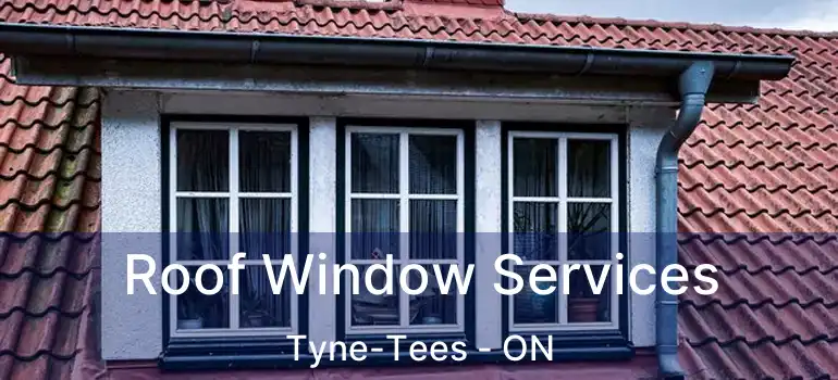  Roof Window Services Tyne-Tees - ON