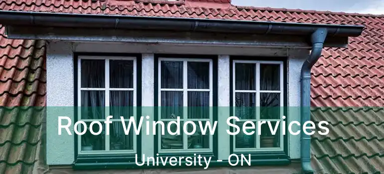  Roof Window Services University - ON