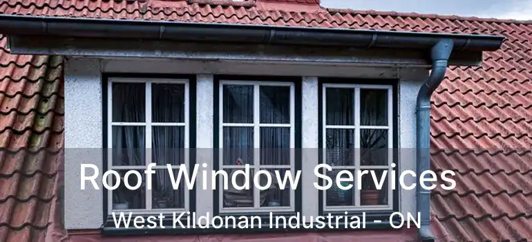  Roof Window Services West Kildonan Industrial - ON