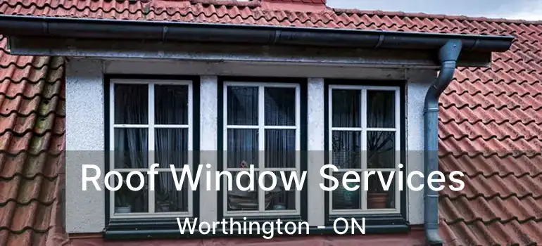  Roof Window Services Worthington - ON