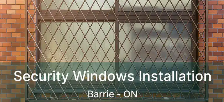  Security Windows Installation Barrie - ON