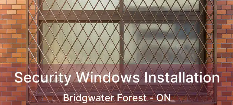  Security Windows Installation Bridgwater Forest - ON