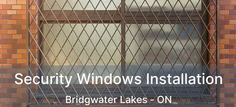  Security Windows Installation Bridgwater Lakes - ON