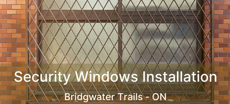  Security Windows Installation Bridgwater Trails - ON