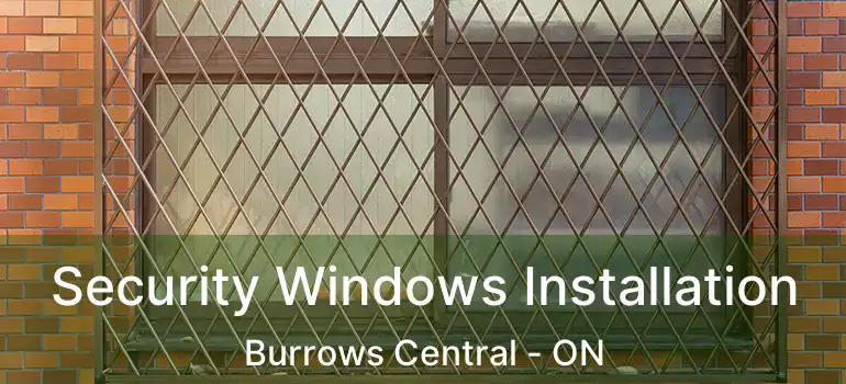  Security Windows Installation Burrows Central - ON