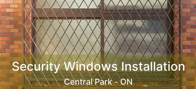  Security Windows Installation Central Park - ON