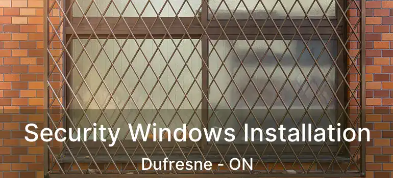  Security Windows Installation Dufresne - ON