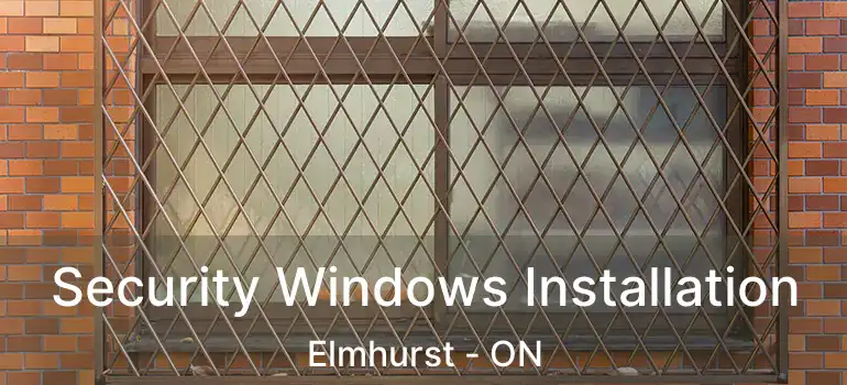  Security Windows Installation Elmhurst - ON