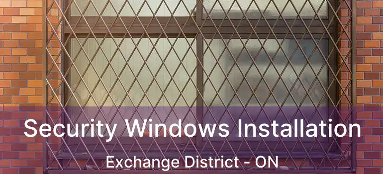  Security Windows Installation Exchange District - ON