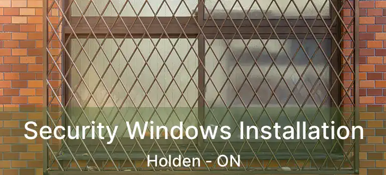  Security Windows Installation Holden - ON