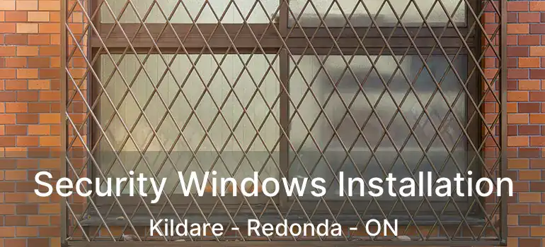  Security Windows Installation Kildare - Redonda - ON