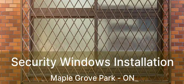  Security Windows Installation Maple Grove Park - ON