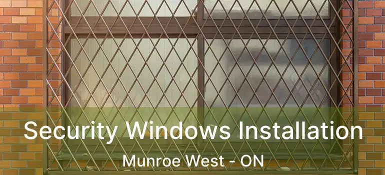 Security Windows Installation Munroe West - ON