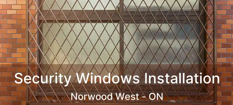  Security Windows Installation Norwood West - ON