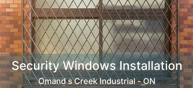  Security Windows Installation Omand s Creek Industrial - ON