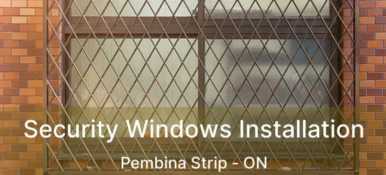  Security Windows Installation Pembina Strip - ON