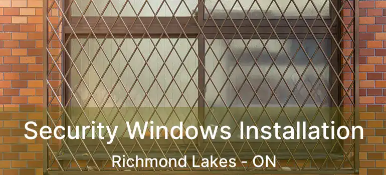  Security Windows Installation Richmond Lakes - ON