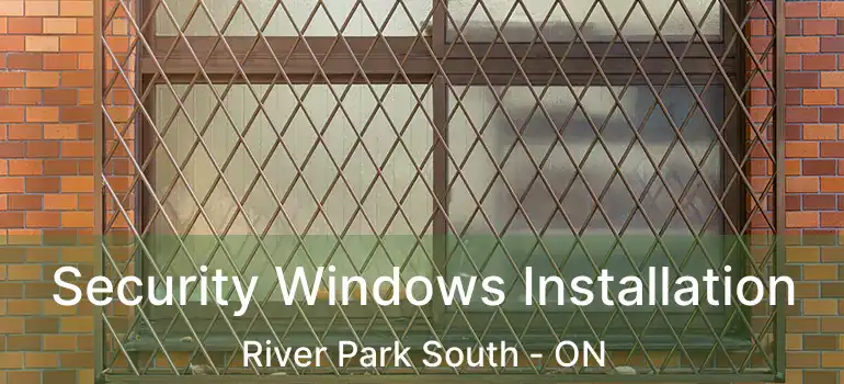  Security Windows Installation River Park South - ON