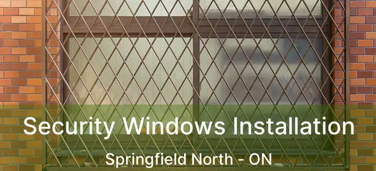  Security Windows Installation Springfield North - ON