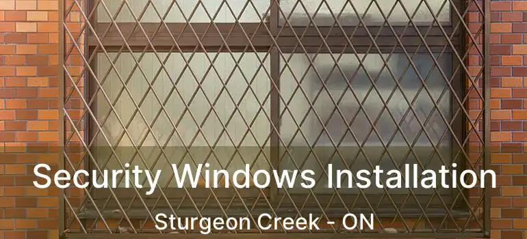  Security Windows Installation Sturgeon Creek - ON