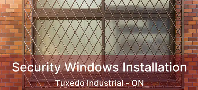  Security Windows Installation Tuxedo Industrial - ON