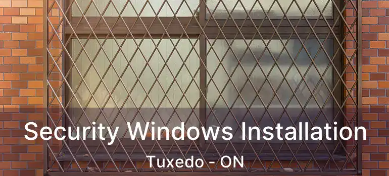  Security Windows Installation Tuxedo - ON