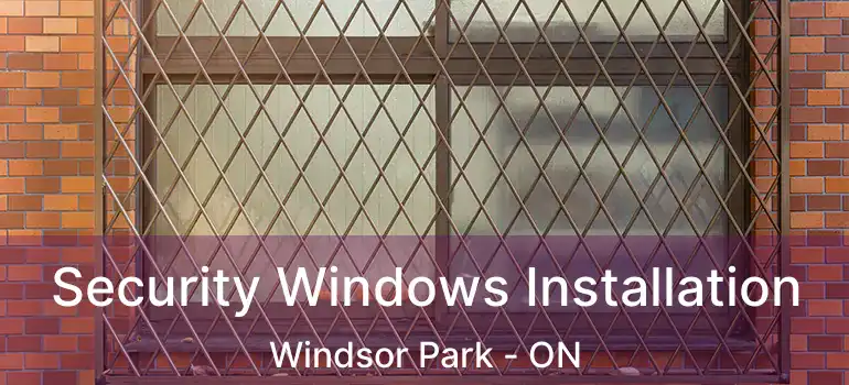  Security Windows Installation Windsor Park - ON